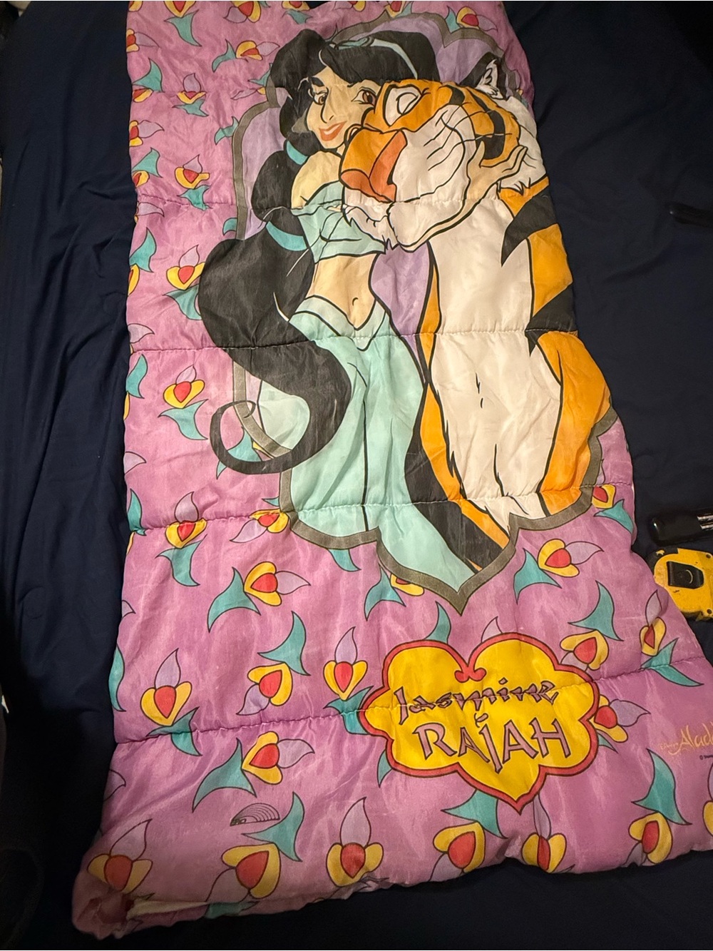 Vtg Disney Aladdin Princess Jasmine And Rajah SLEEPING BAG 50x26 needs cleaning